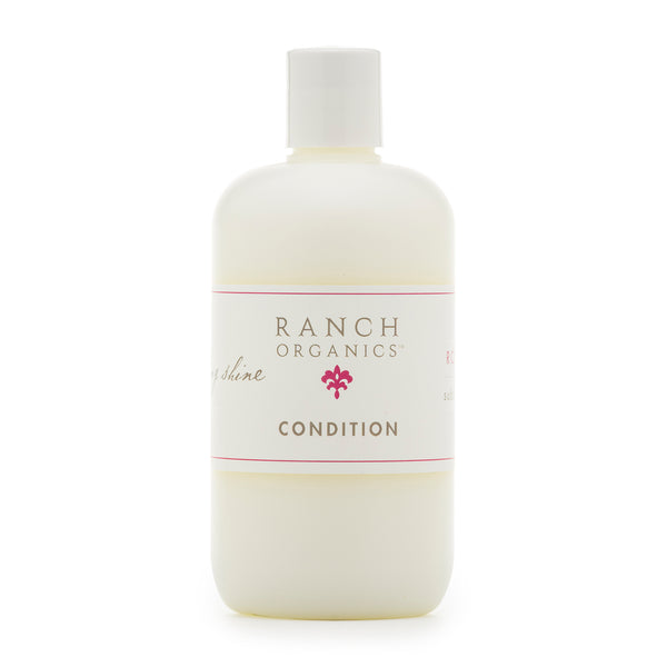 Conditioner