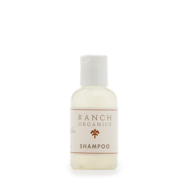 Travel Shampoo and / or Conditioner