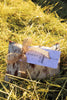Happy Trails Pouch