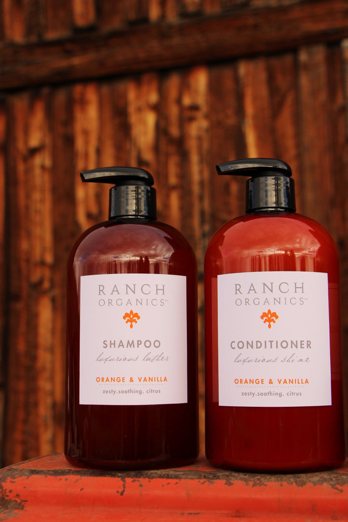 Orange Vanilla Shampoo & Conditioner
