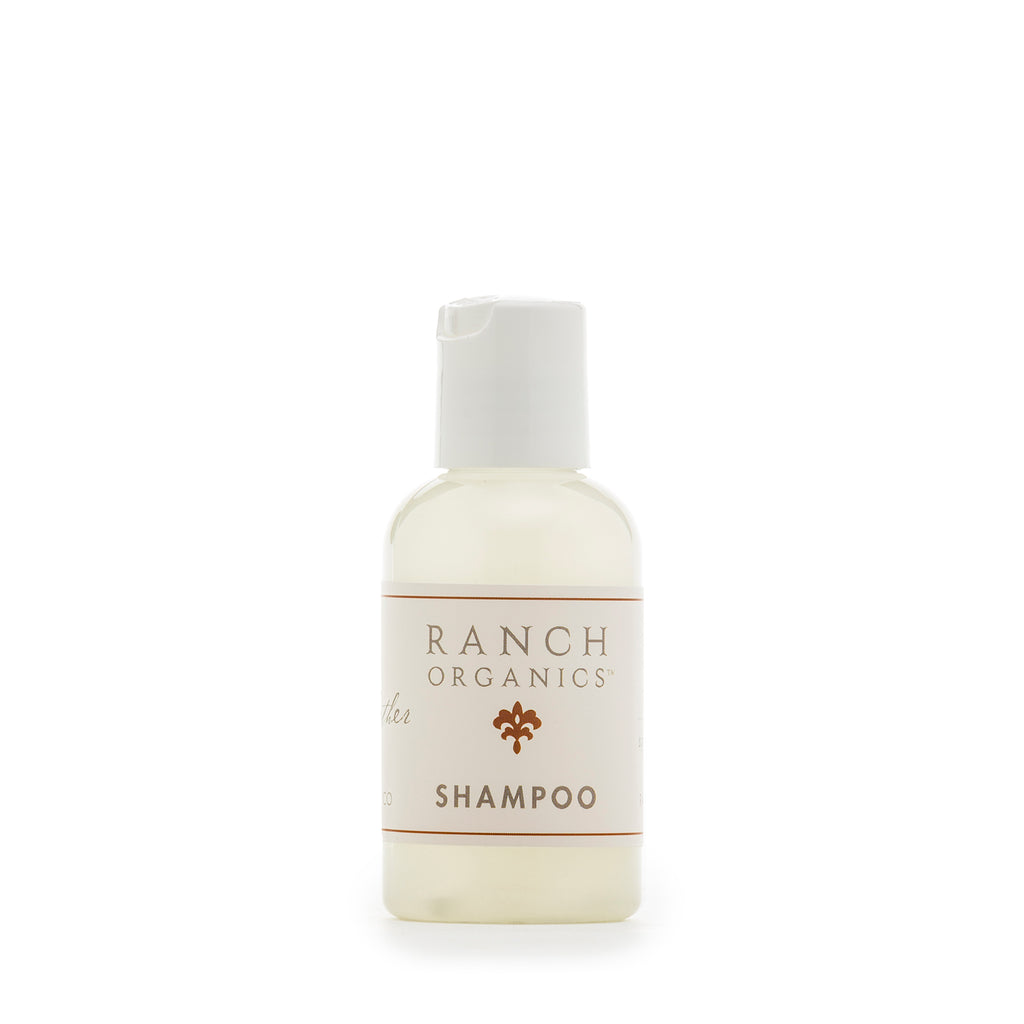Travel Shampoo and / or Conditioner